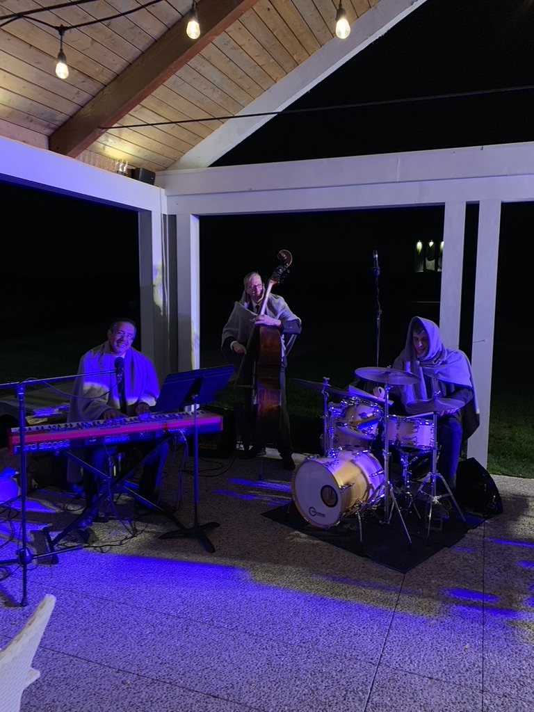 Jazz trio performing outdoors beneath a pavilion
